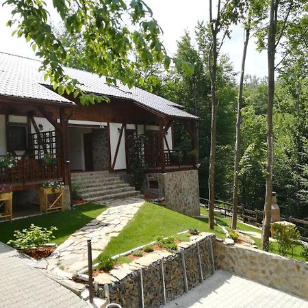 Appartamento Casa Gozna Văliug Esterno foto