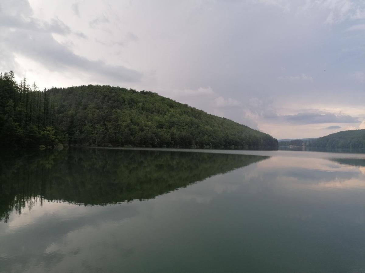 Appartamento Casa Gozna Văliug Esterno foto