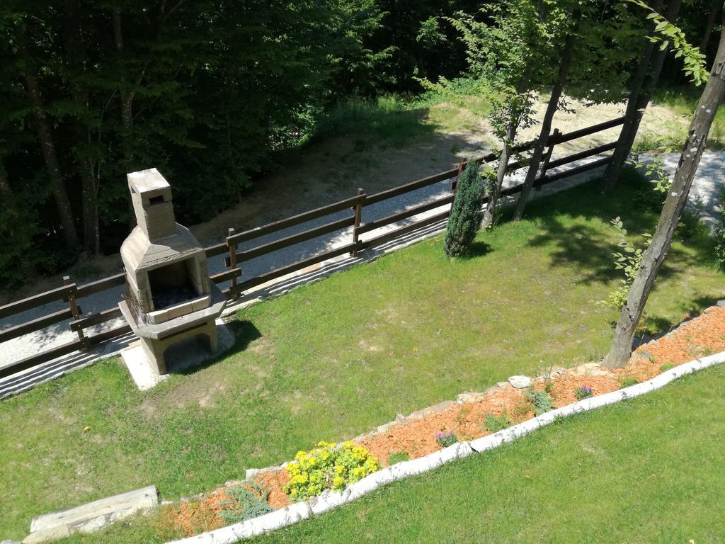 Appartamento Casa Gozna Văliug Esterno foto