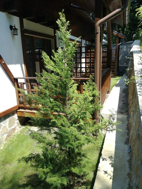 Appartamento Casa Gozna Văliug Esterno foto