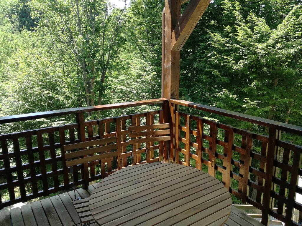 Appartamento Casa Gozna Văliug Esterno foto