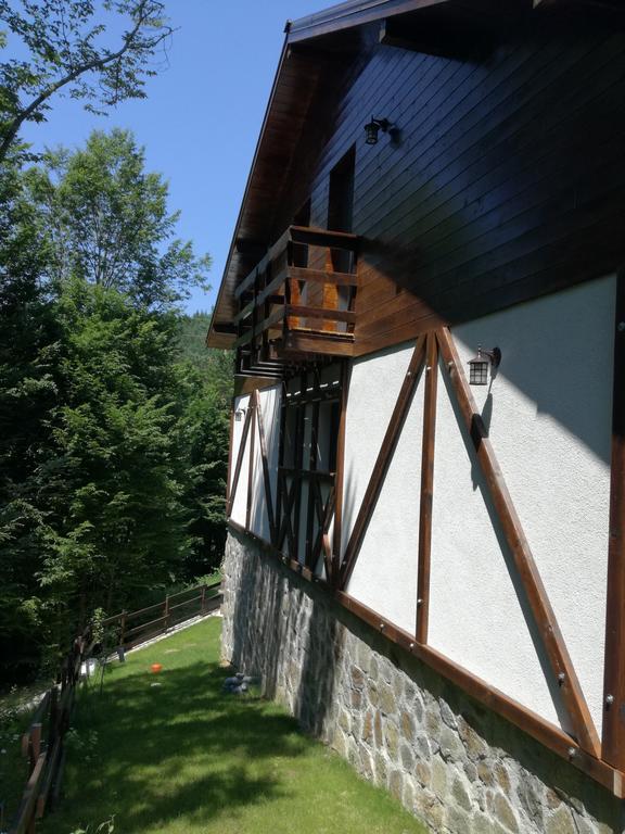 Appartamento Casa Gozna Văliug Esterno foto