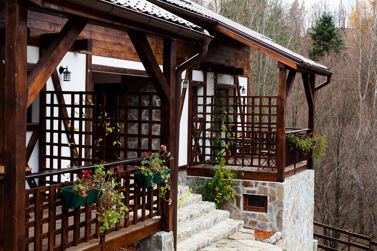 Appartamento Casa Gozna Văliug Esterno foto