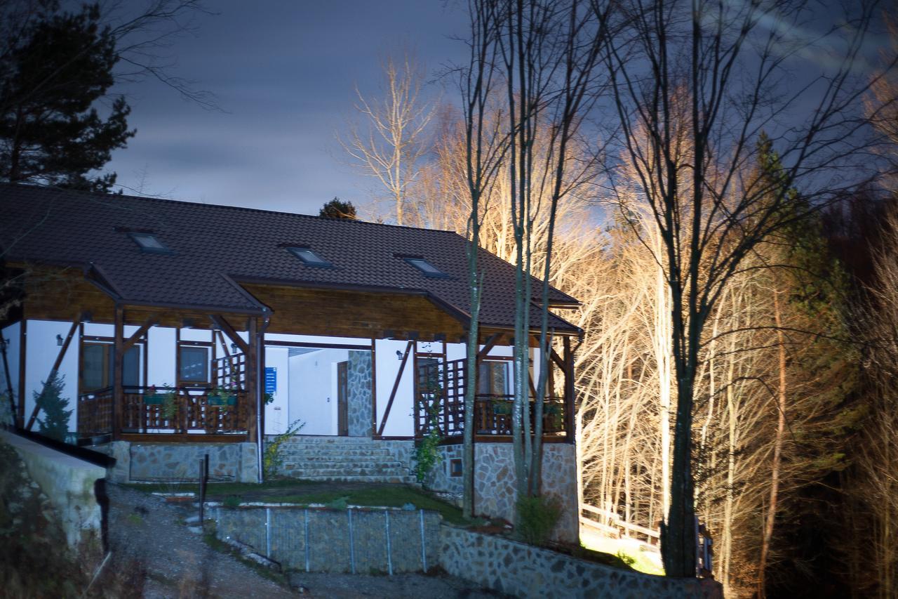 Appartamento Casa Gozna Văliug Esterno foto