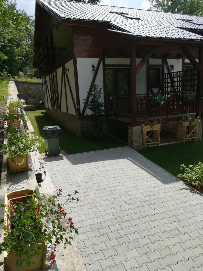 Appartamento Casa Gozna Văliug Esterno foto