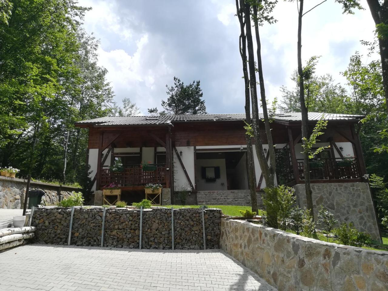 Appartamento Casa Gozna Văliug Esterno foto