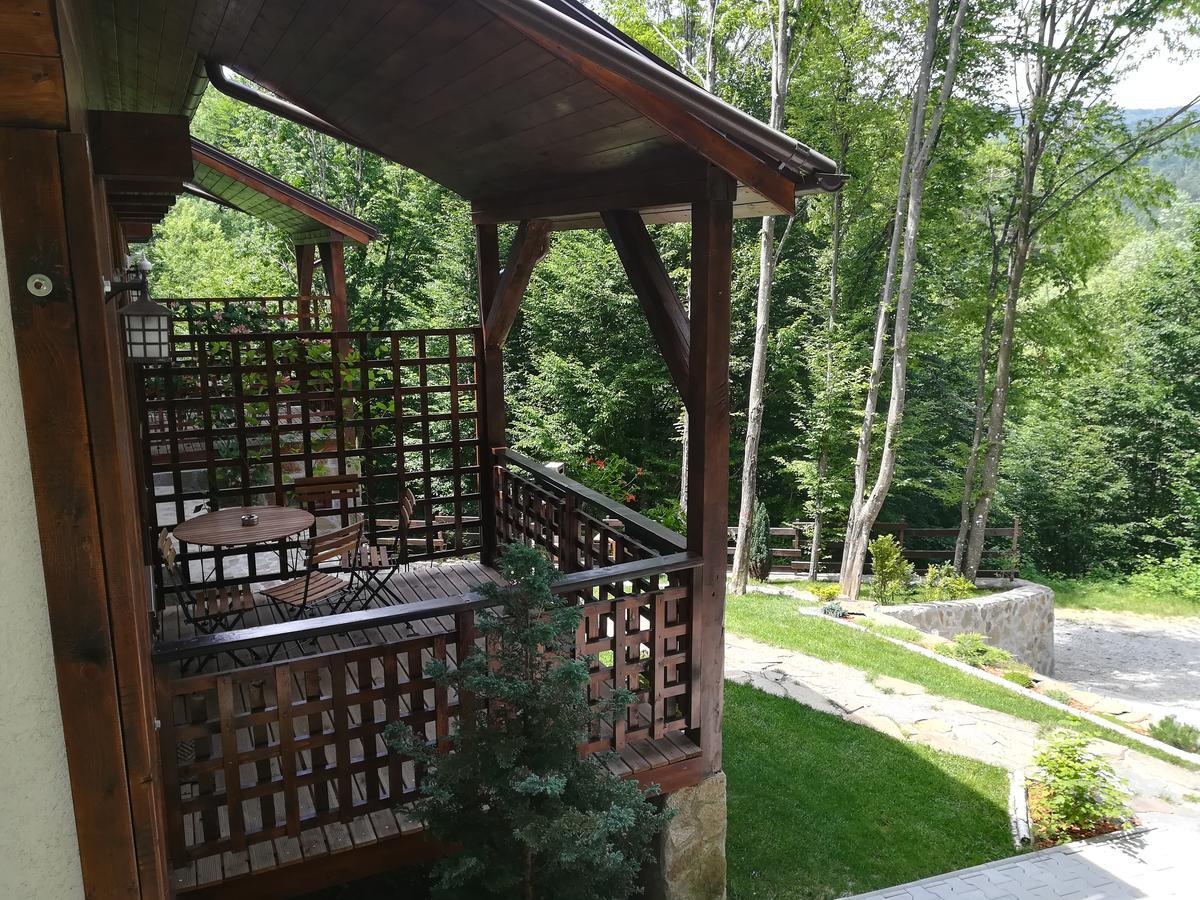 Appartamento Casa Gozna Văliug Esterno foto