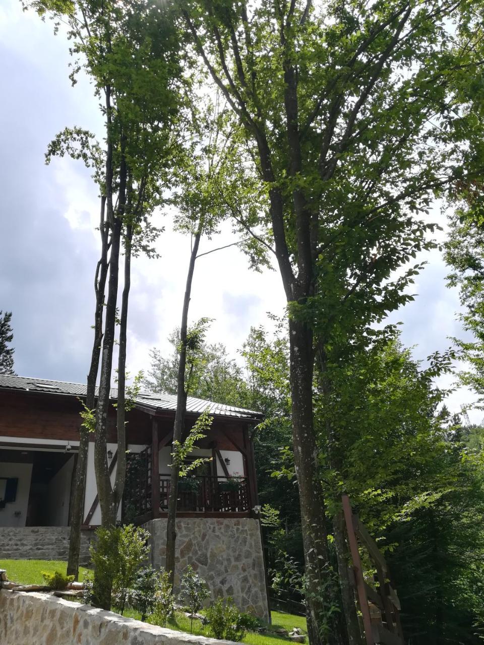 Appartamento Casa Gozna Văliug Esterno foto