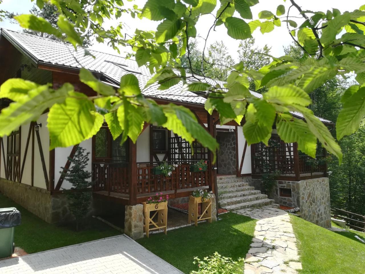Appartamento Casa Gozna Văliug Esterno foto
