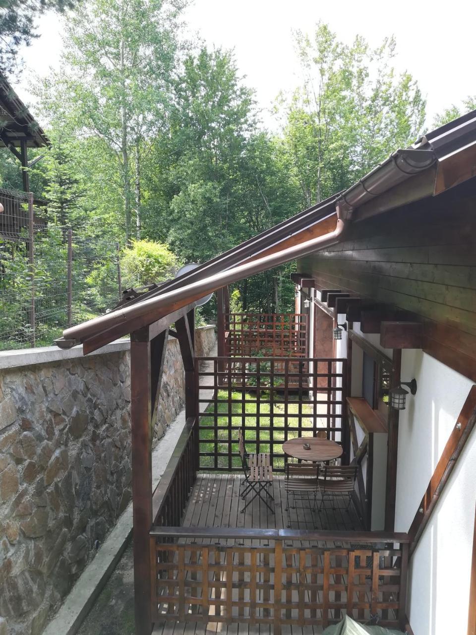 Appartamento Casa Gozna Văliug Esterno foto