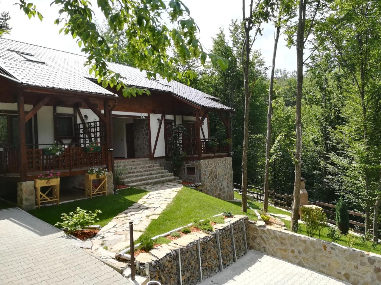 Appartamento Casa Gozna Văliug Esterno foto
